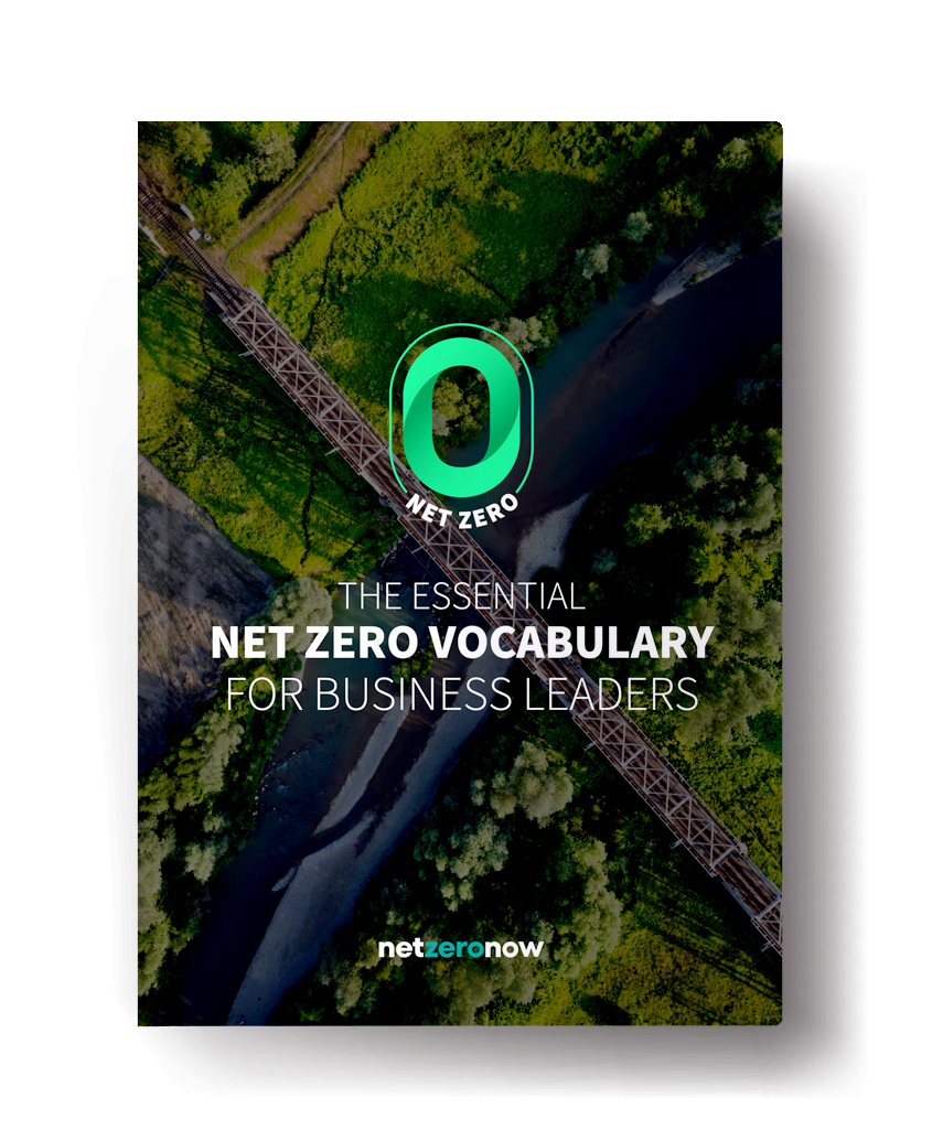 NZN Glossary ebook cover2